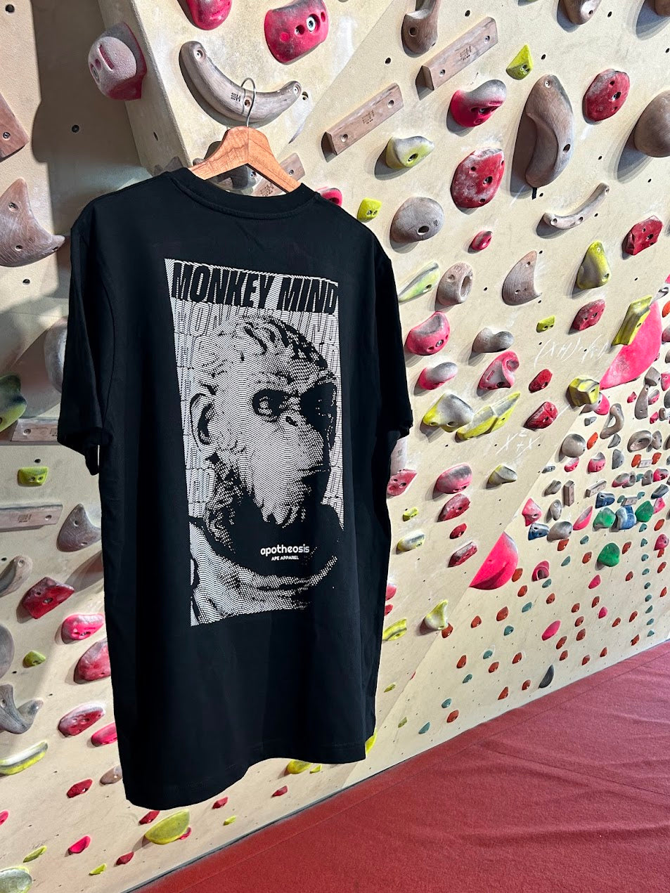 Monkey mind tee hanging in a boulder hall